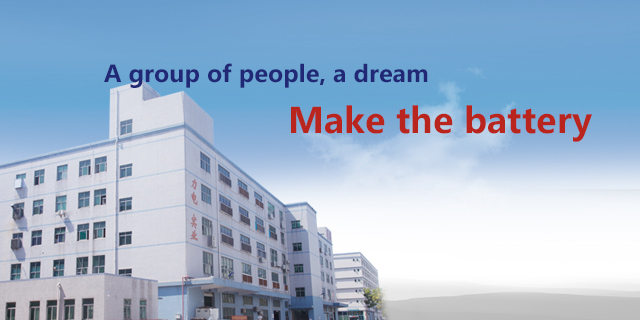 About LIDEV